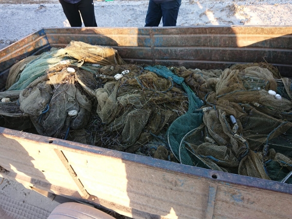 Прикордонники затримали браконьєрів, які виловили більше 220 кг риби в Азовському морі