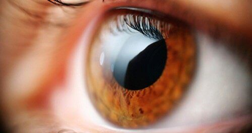 Способи покращити фокусування зіри