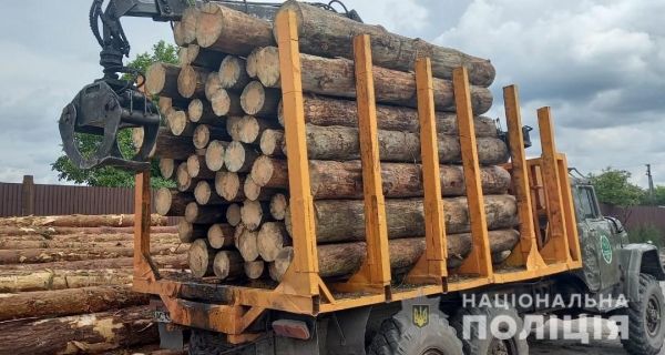 На Ківерцівщині правоохоронці вилучили 15 кубометрів сумнівної деревини