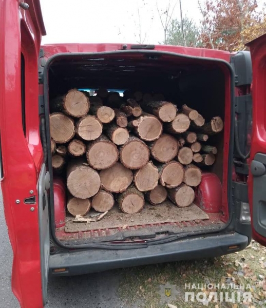 На Ківерцівщині поліцейські затримали бус з деревиною сумнівного походження