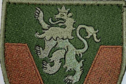 223-й зенітний ракетний полк ім. Українських Січових Стрільців/ зах \нарукавна емблема
