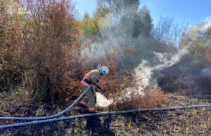 В Ковельському районі горів торфяник