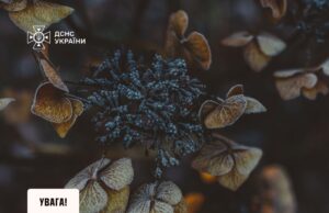 У Західних областях прогнозується заморозки та сильний вітер