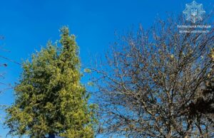 (Українська) У Луцьку поліція затримала агресивного чоловіка за порушення громадського порядку