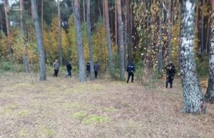 На Волині розшукують жінку, яка пішла в ліс за грибами