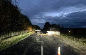 Фатальна ДТП в Камінь-Каширському районі: загинули двоє людей