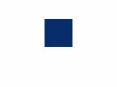 ДТП у Луцьку на проспекті Соборності за участю Skoda та ЗАЗ