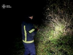 16-річний підліток заблукав у лісі в Камінь-Каширському районі