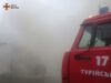 У селищі Турійськ горів гараж