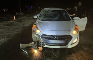 Смертельна ДТП у Камінь-Каширському районі: обставини аварії вивчають слідчі