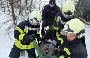 Рятувальники Володимирського району звільнили постраждалих з авто