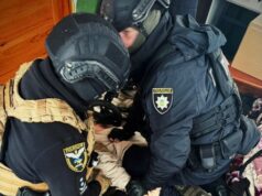 У Володимирському районі чоловік в авот згвалтував неповнолютню дівчинку