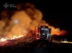 У Волині трапилося 35 пожеж за добу