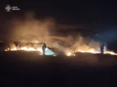 Рятувальники Волині ліквідували 14 пожеж за добу