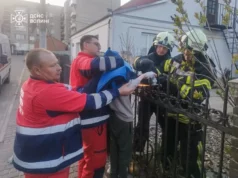 У Рожищі рятувальники врятували хлопчика з травмою руки