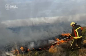 (Українська) Рятувальники Волині ліквідували 8 пожеж в екосистемах