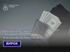 У Зміїнці засудили чоловіка за крадіжки на 2,5 млн грн