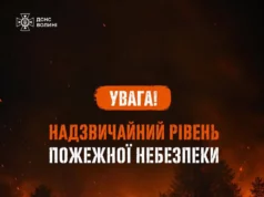 На Волині ДСНС попереджає про небезпеку вогню через вітер