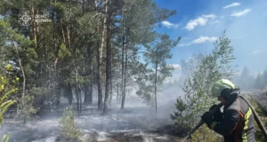 У Маневицькій громаді локалізували пожежу сухої трави