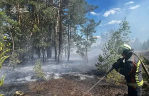 У Маневицькій громаді локалізували пожежу сухої трави