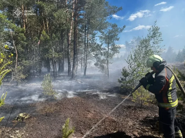 У Маневицькій громаді локалізували пожежу сухої трави