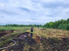 На Камінь-Каширщині локалізували пожежу торфовища біля Любешева