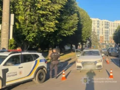 У Луцьку на проспекті Молоді авто збило жінку та дитину на переході