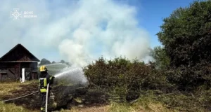 У Борохові рятувальники загасили пожежу сухої трави біля господарської споруди
