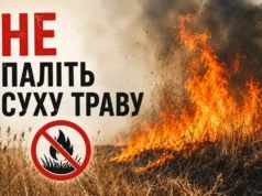 Ковельська громада попереджає про високий ризик пожеж через спеку Ковельська громада попереджає про високий ризик пожеж через спеку