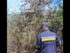 На Волині торф’яні пожежі гасять майже пів сотні рятувальників