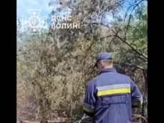 На Волині торф’яні пожежі гасять майже пів сотні рятувальників