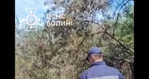 На Волині торф’яні пожежі гасять майже пів сотні рятувальників
