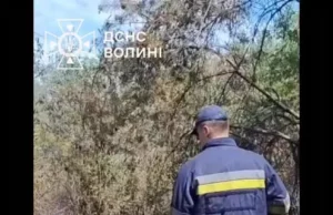На Волині торф’яні пожежі гасять майже пів сотні рятувальників