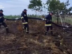 На Волині рятувальники гасять торф’яні пожежі в Камінь-Каширському та Луцькому районах На Волині рятувальники гасять торф’яні пожежі в Камінь-Каширському та Луцькому районах