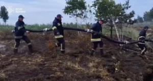 На Волині рятувальники гасять торф’яні пожежі в Камінь-Каширському та Луцькому районах