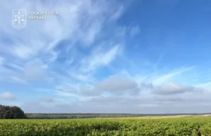 На Волині судитимуть двох братів за незаконне вирощування тютюну