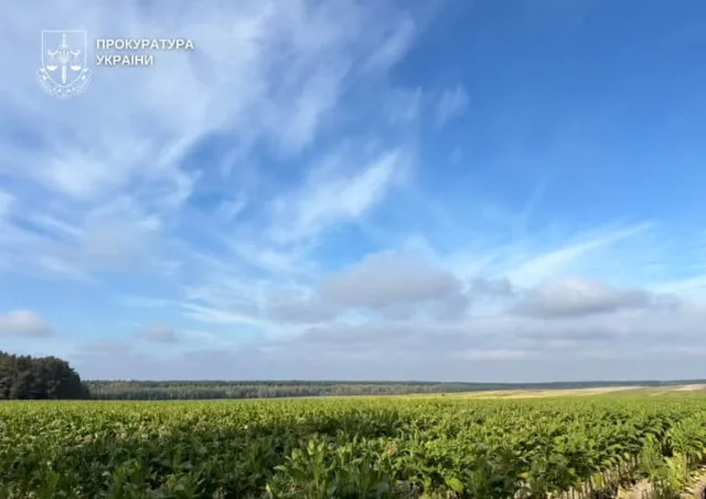 image На Волині судитимуть двох братів за незаконне вирощування тютюну