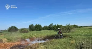 Поблизу Костюхнівки на Волині гасять пожежу торфовища