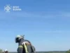 На Волині ліквідували пожежу торфовища біля Костюхнівки, триває гасіння поблизу Ржищева