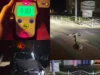 (Українська) У Луцьку нетверезий 19-річний водій в’їхав у огородження та втік з місця ДТП У Луцьку нетверезий 19-річний водій в’їхав у огородження та втік з місця ДТП