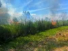 На Волині за добу ліквідували сім пожеж у полях і лісосмугах