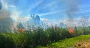 На Волині за добу ліквідували сім пожеж у полях і лісосмугах