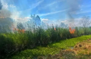 На Волині за добу ліквідували сім пожеж у полях і лісосмугах