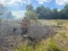 На Волині за добу загасили чотири пожежі сухої трави