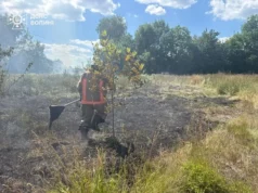 На Волині за добу загасили чотири пожежі сухої трави
