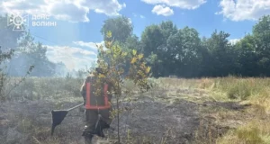 На Волині за добу загасили чотири пожежі сухої трави