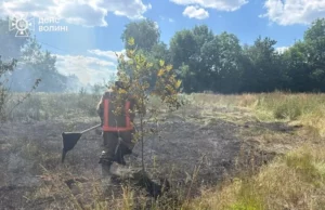 На Волині за добу загасили чотири пожежі сухої трави