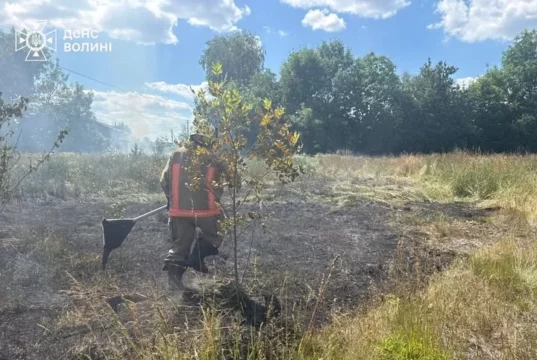 На Волині за добу загасили чотири пожежі сухої трави