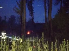 На Волині через спеку спалахнули пожежі біля Рокинь та на Ковельщині