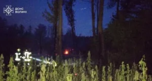 На Волині через спеку спалахнули пожежі біля Рокинь та на Ковельщині